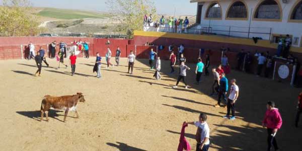 Capeas actividad multiaventura